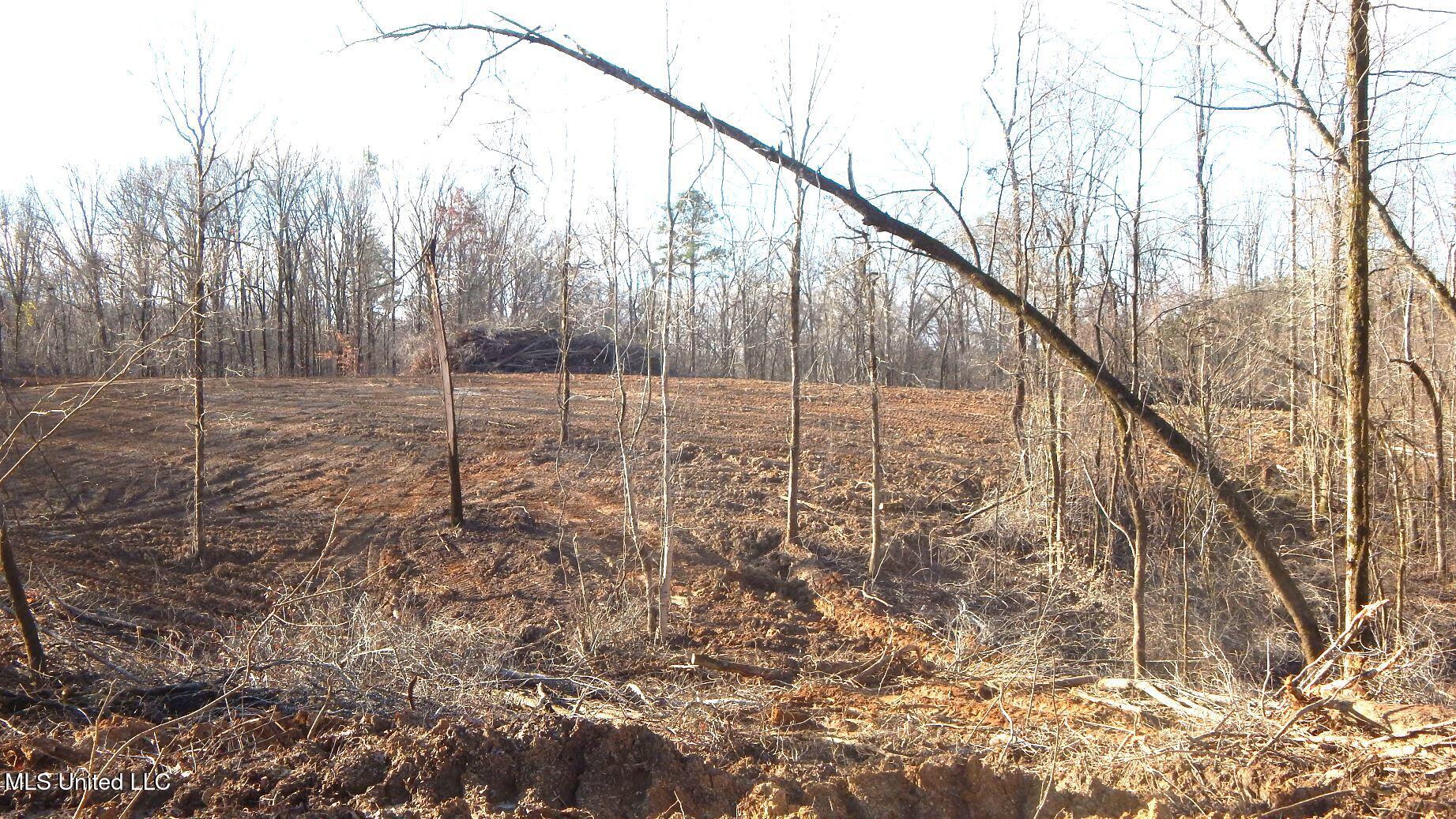 35-ac Bethel Church Road Grenada, MS 38901 - Photo 50 of 86 DSCN6482