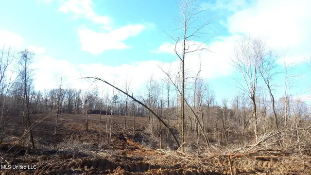 $97,500 | 35-ac Bethel Church Road, Grenada, MS 38901