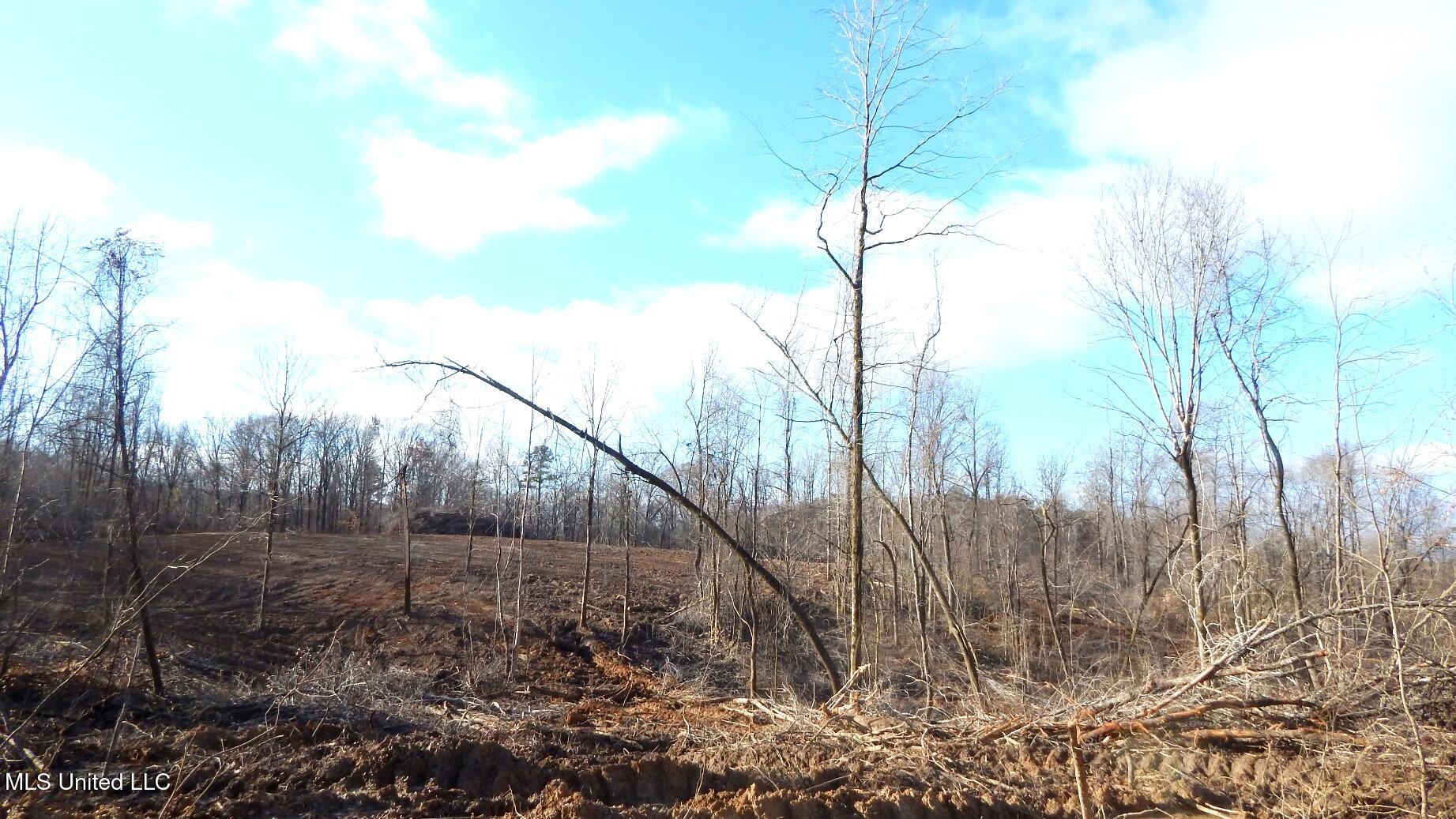 35-ac Bethel Church Road Grenada, MS 38901 - Photo 51 of 86 DSCN6483
