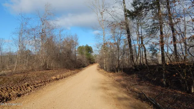 $97,500 | 35-ac Bethel Church Road, Grenada, MS 38901