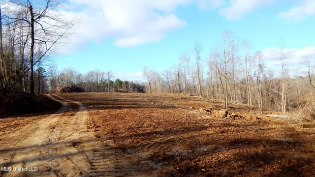 $97,500 | 35-ac Bethel Church Road, Grenada, MS 38901