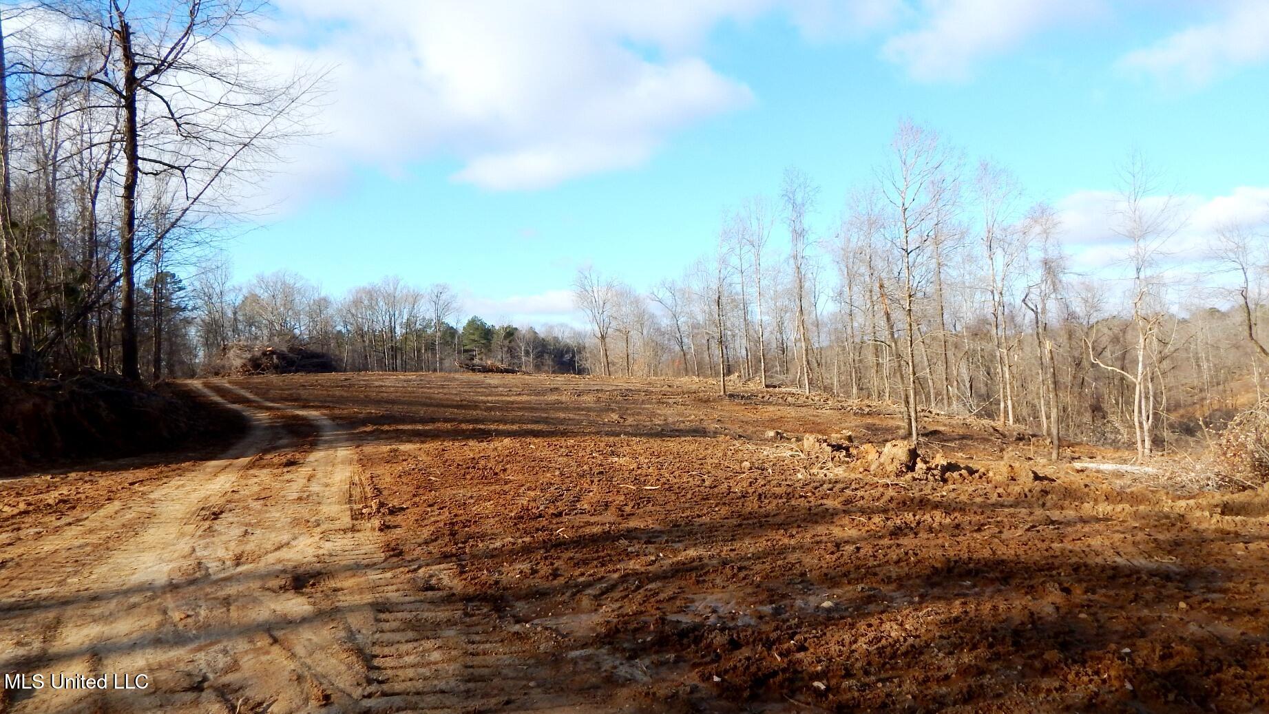 35-ac Bethel Church Road Grenada, MS 38901 - Photo 53 of 86 DSCN6486