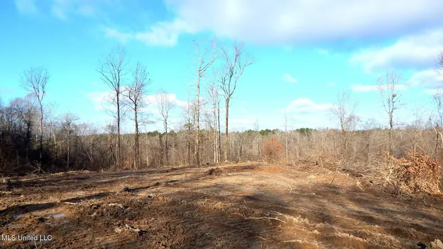 $97,500 | 35-ac Bethel Church Road, Grenada, MS 38901