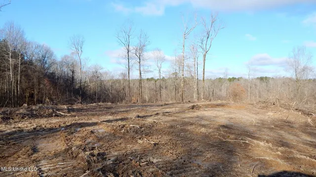 $97,500 | 35-ac Bethel Church Road, Grenada, MS 38901