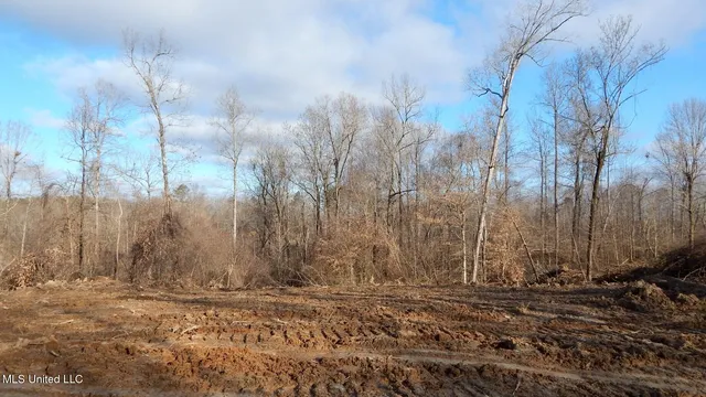 $97,500 | 35-ac Bethel Church Road, Grenada, MS 38901