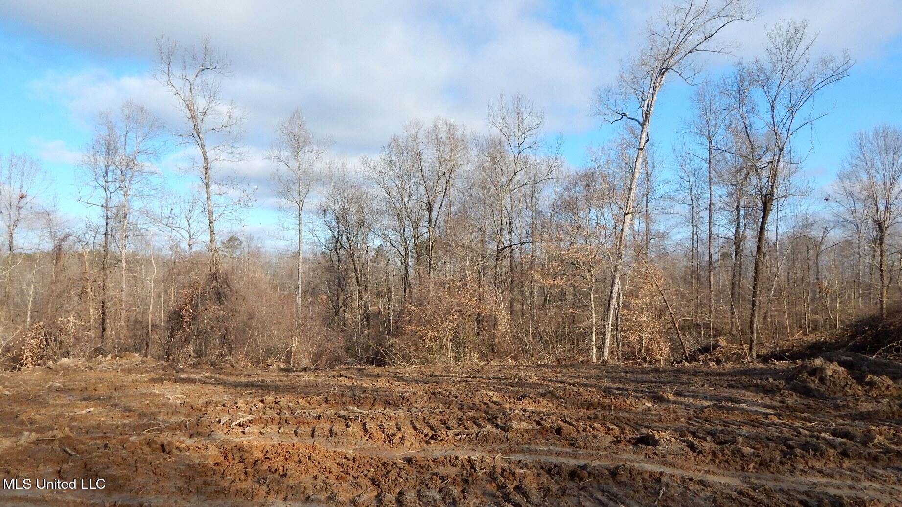 35-ac Bethel Church Road Grenada, MS 38901 - Photo 56 of 86 DSCN6490