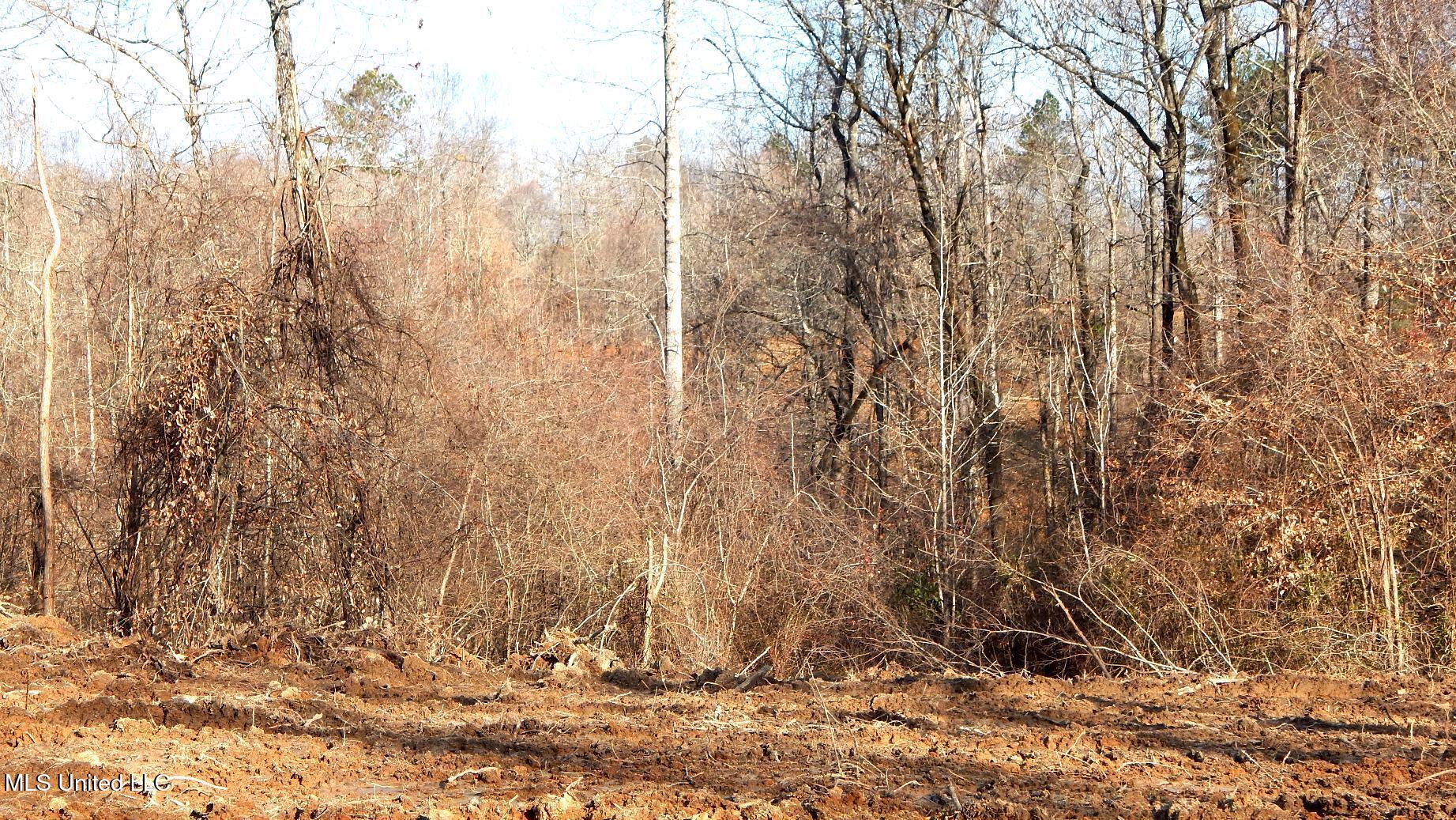 35-ac Bethel Church Road Grenada, MS 38901 - Photo 57 of 86 DSCN6491