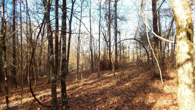 $97,500 | 35-ac Bethel Church Road, Grenada, MS 38901