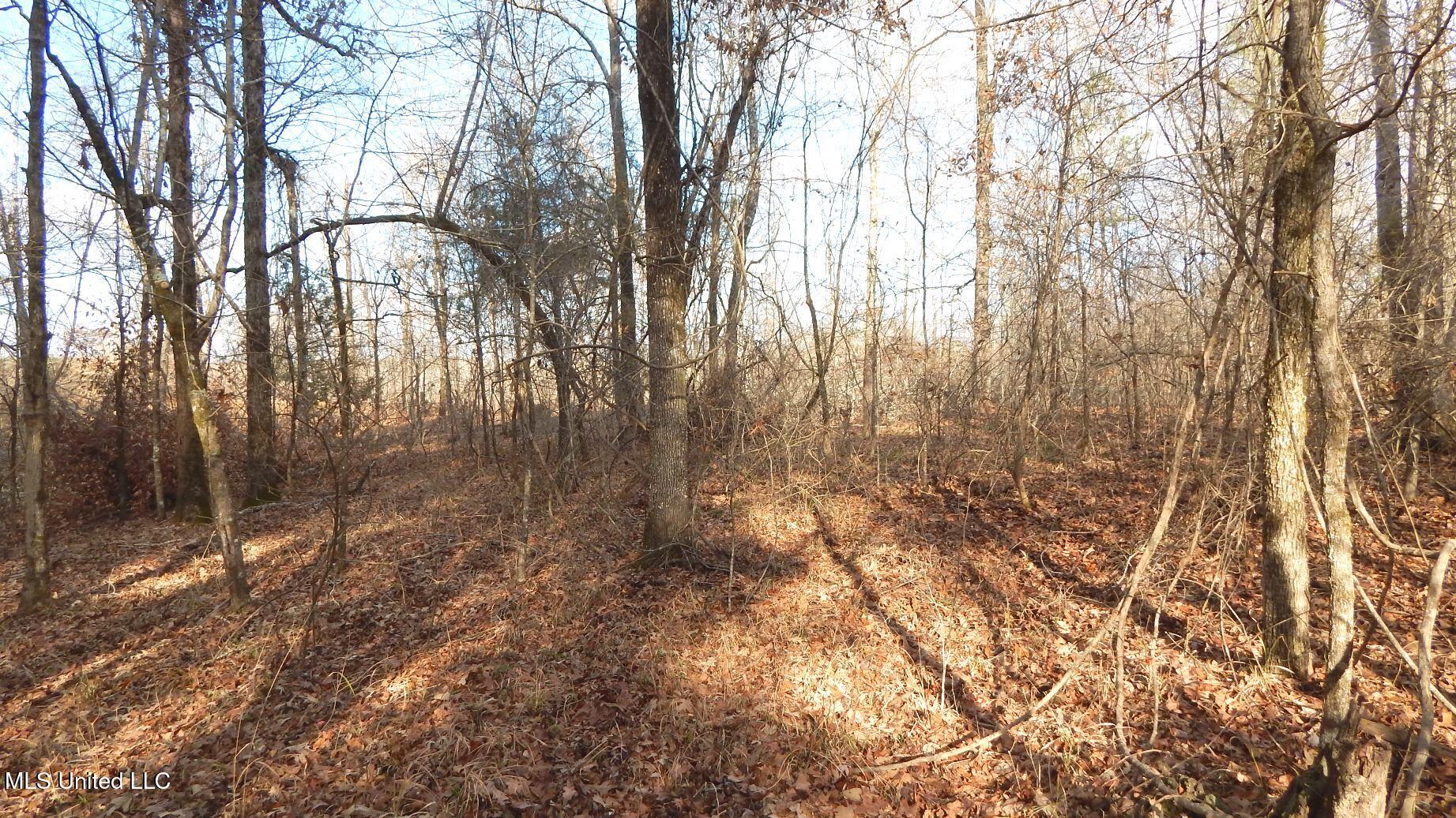 35-ac Bethel Church Road Grenada, MS 38901 - Photo 60 of 86 DSCN6496