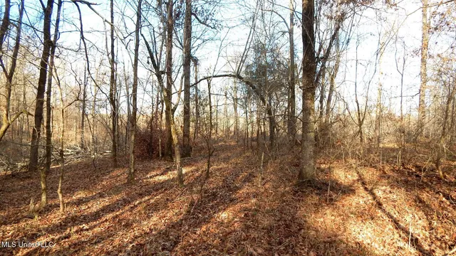$97,500 | 35-ac Bethel Church Road, Grenada, MS 38901