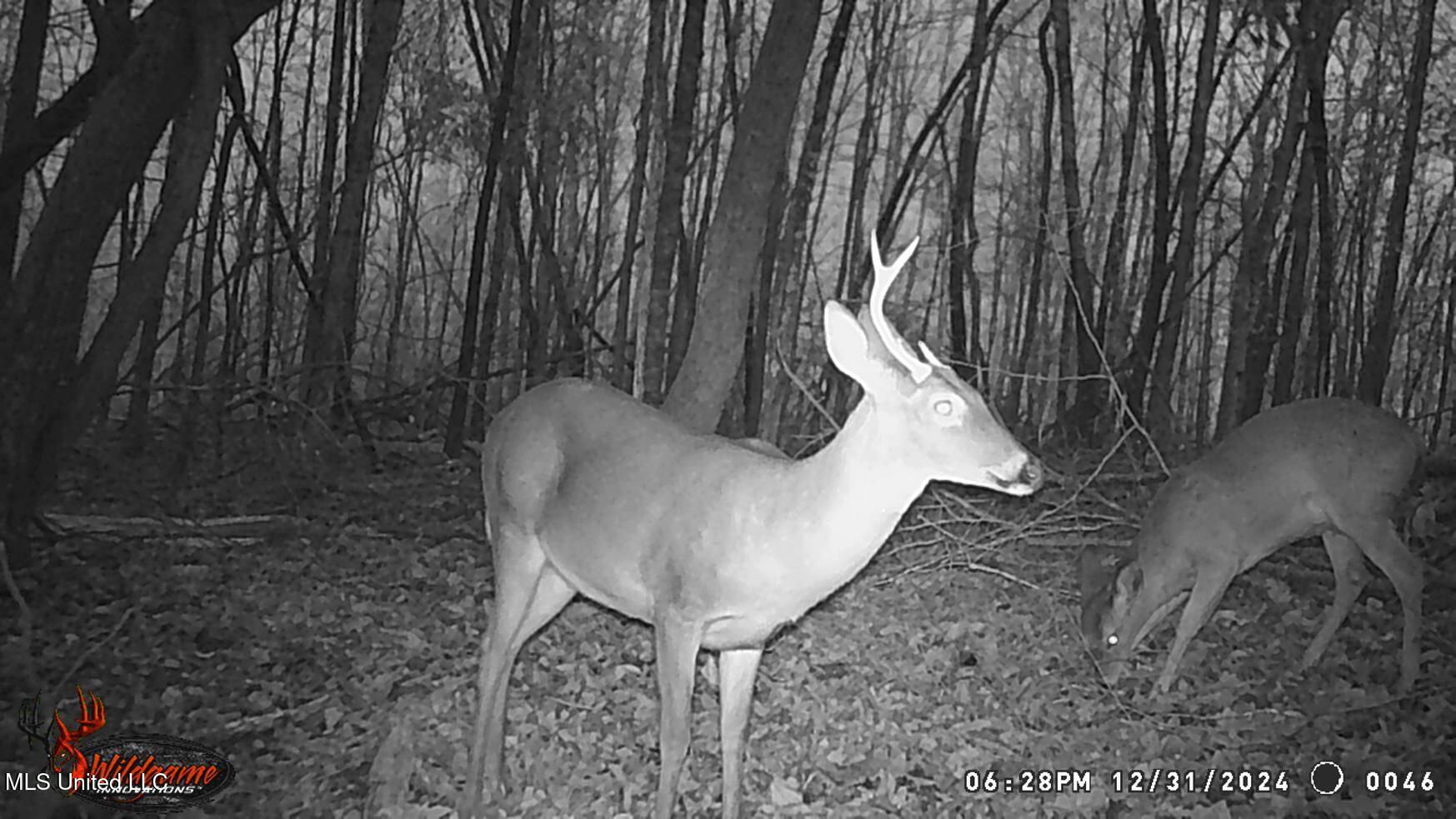 35-ac Bethel Church Road Grenada, MS 38901 - Photo 62 of 86 WGI_0046