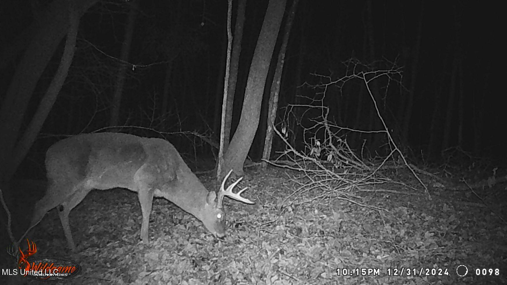 35-ac Bethel Church Road Grenada, MS 38901 - Photo 63 of 86 WGI_0098