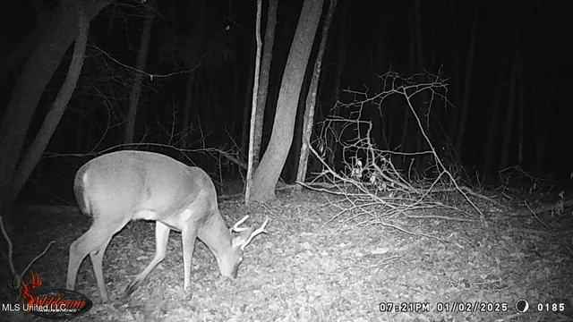 $97,500 | 35-ac Bethel Church Road, Grenada, MS 38901