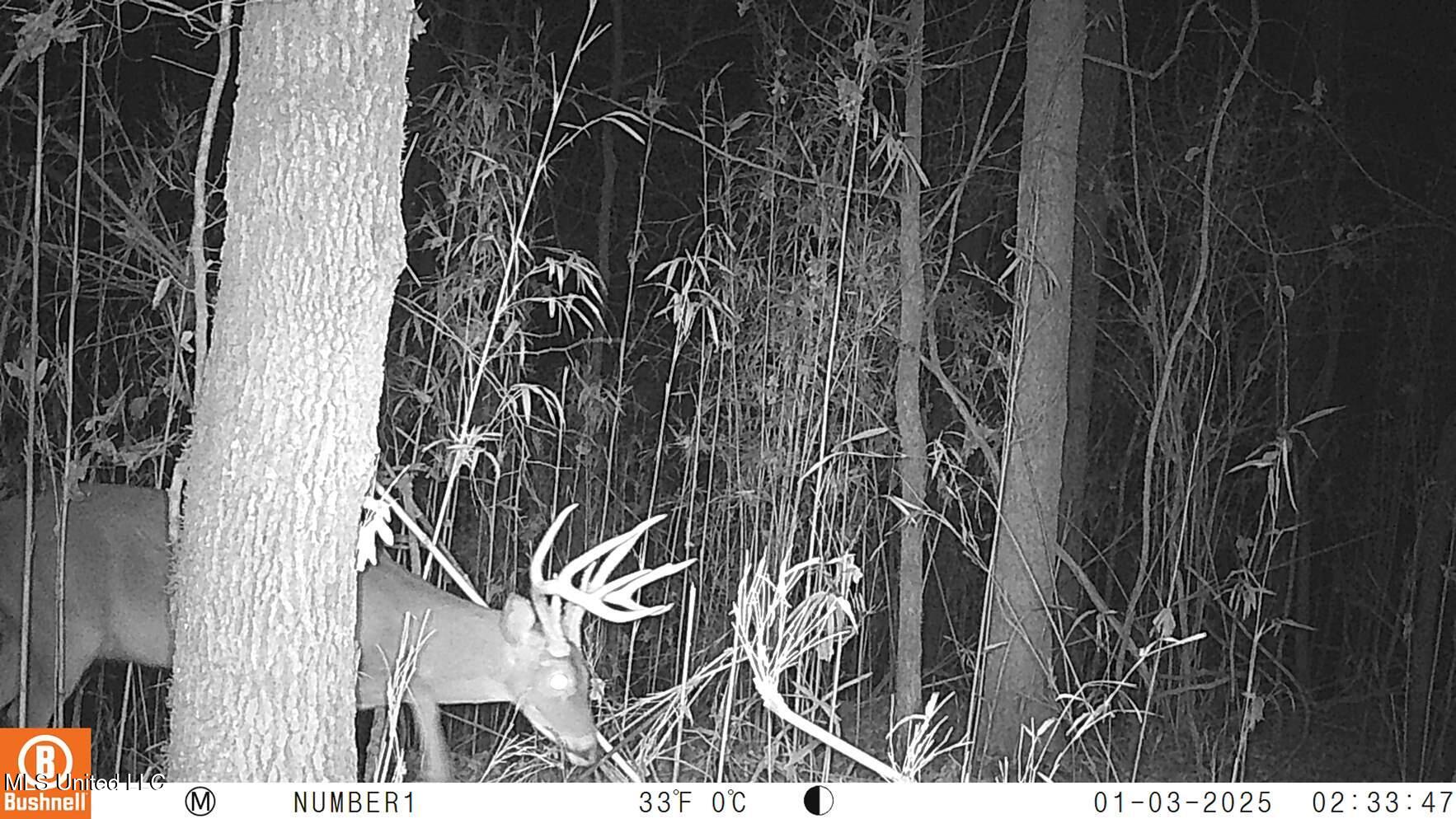 35-ac Bethel Church Road Grenada, MS 38901 - Photo 66 of 86 102_0127