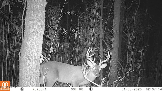 $97,500 | 35-ac Bethel Church Road, Grenada, MS 38901