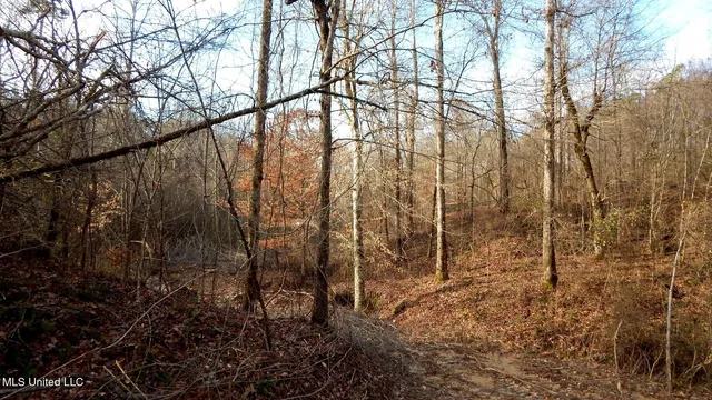 $97,500 | 35-ac Bethel Church Road, Grenada, MS 38901