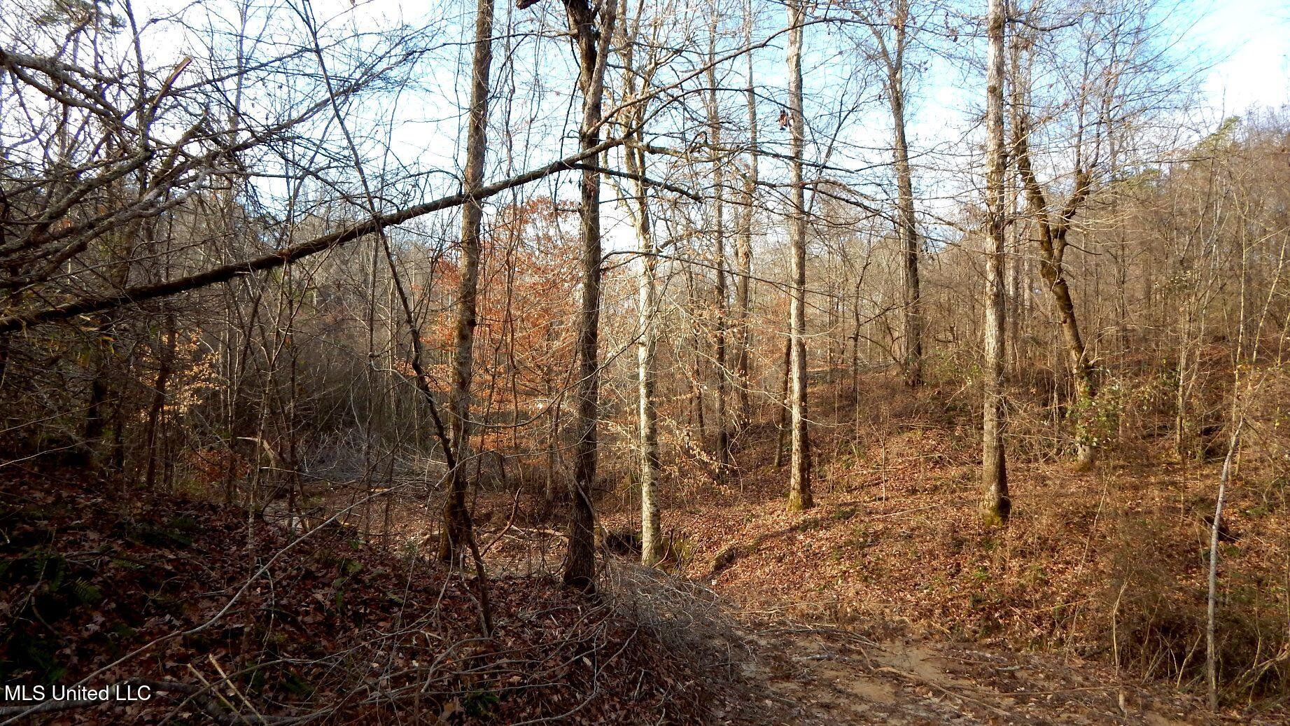 35-ac Bethel Church Road Grenada, MS 38901 - Photo 7 of 86 DSCN6445