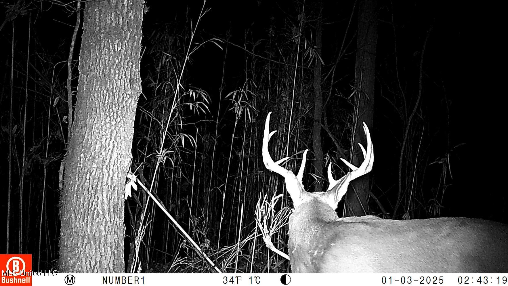 35-ac Bethel Church Road Grenada, MS 38901 - Photo 71 of 86 102_0147