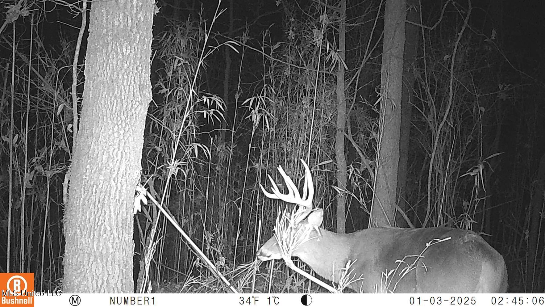 35-ac Bethel Church Road Grenada, MS 38901 - Photo 72 of 86 102_0149