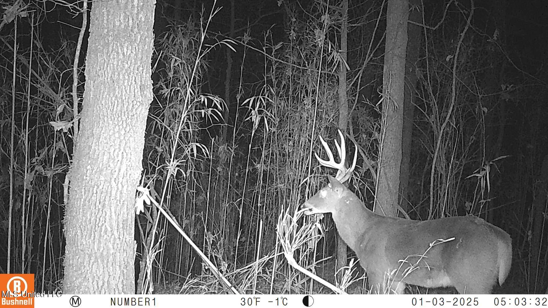 35-ac Bethel Church Road Grenada, MS 38901 - Photo 74 of 86 102_0187
