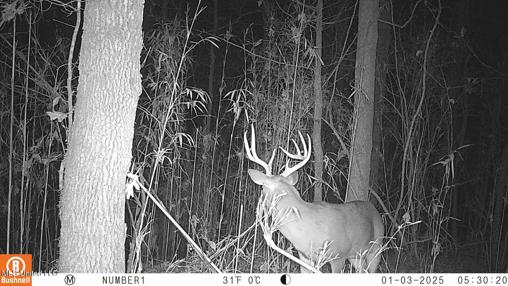 35-ac Bethel Church Road Grenada, MS 38901 - Photo 77 of 86 102_0203