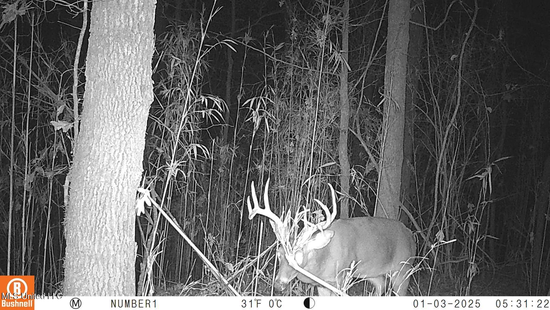 35-ac Bethel Church Road Grenada, MS 38901 - Photo 78 of 86 102_0205