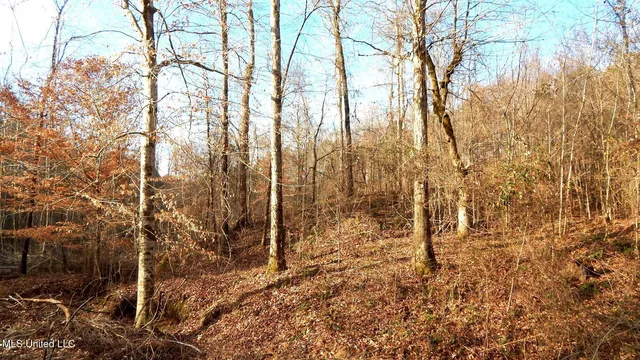 $97,500 | 35-ac Bethel Church Road, Grenada, MS 38901