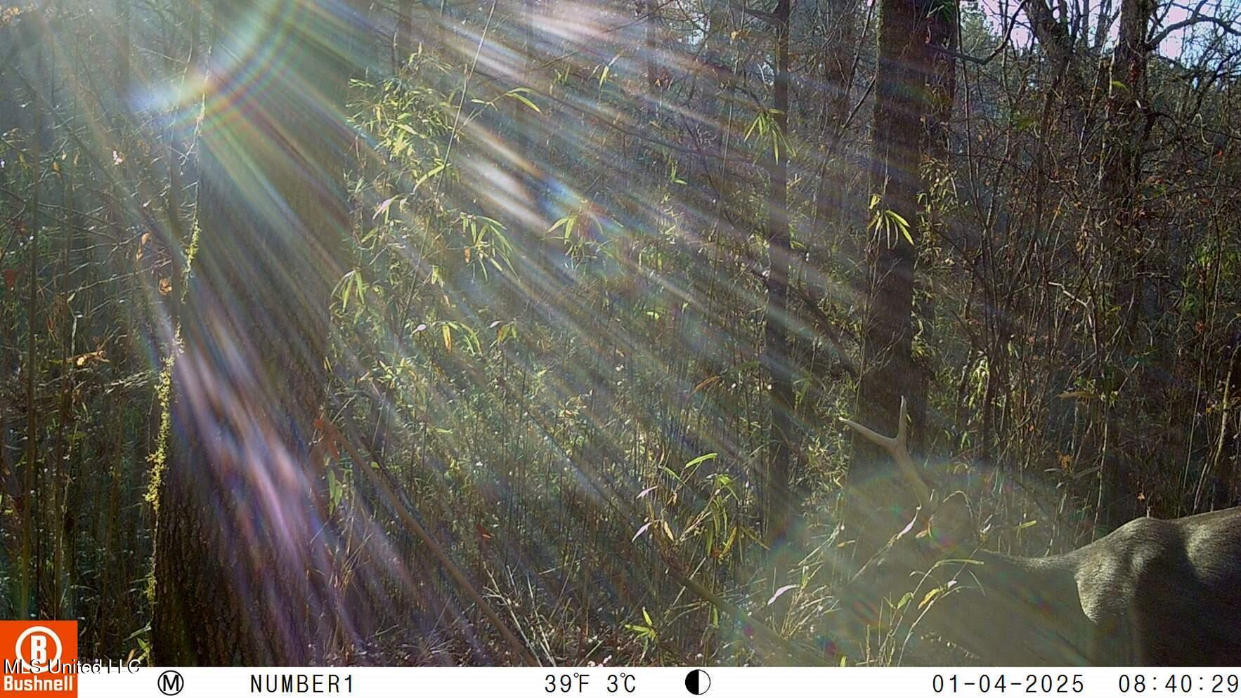 35-ac Bethel Church Road Grenada, MS 38901 - Photo 82 of 86 102_0515