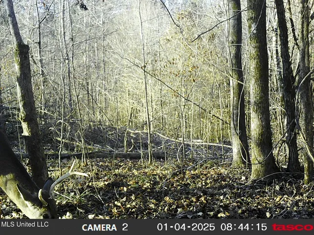 $97,500 | 35-ac Bethel Church Road, Grenada, MS 38901