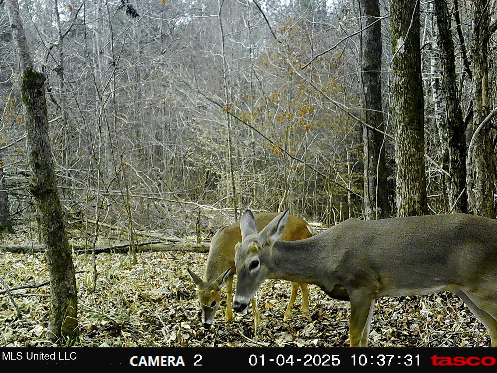 35-ac Bethel Church Road Grenada, MS 38901 - Photo 84 of 86 00000629
