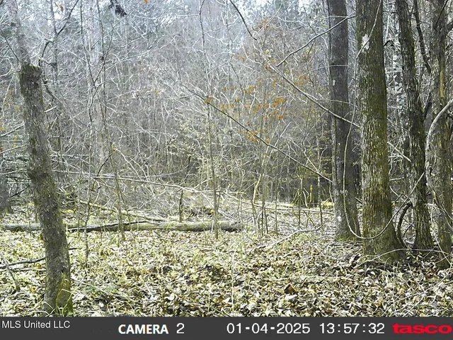 $97,500 | 35-ac Bethel Church Road, Grenada, MS 38901