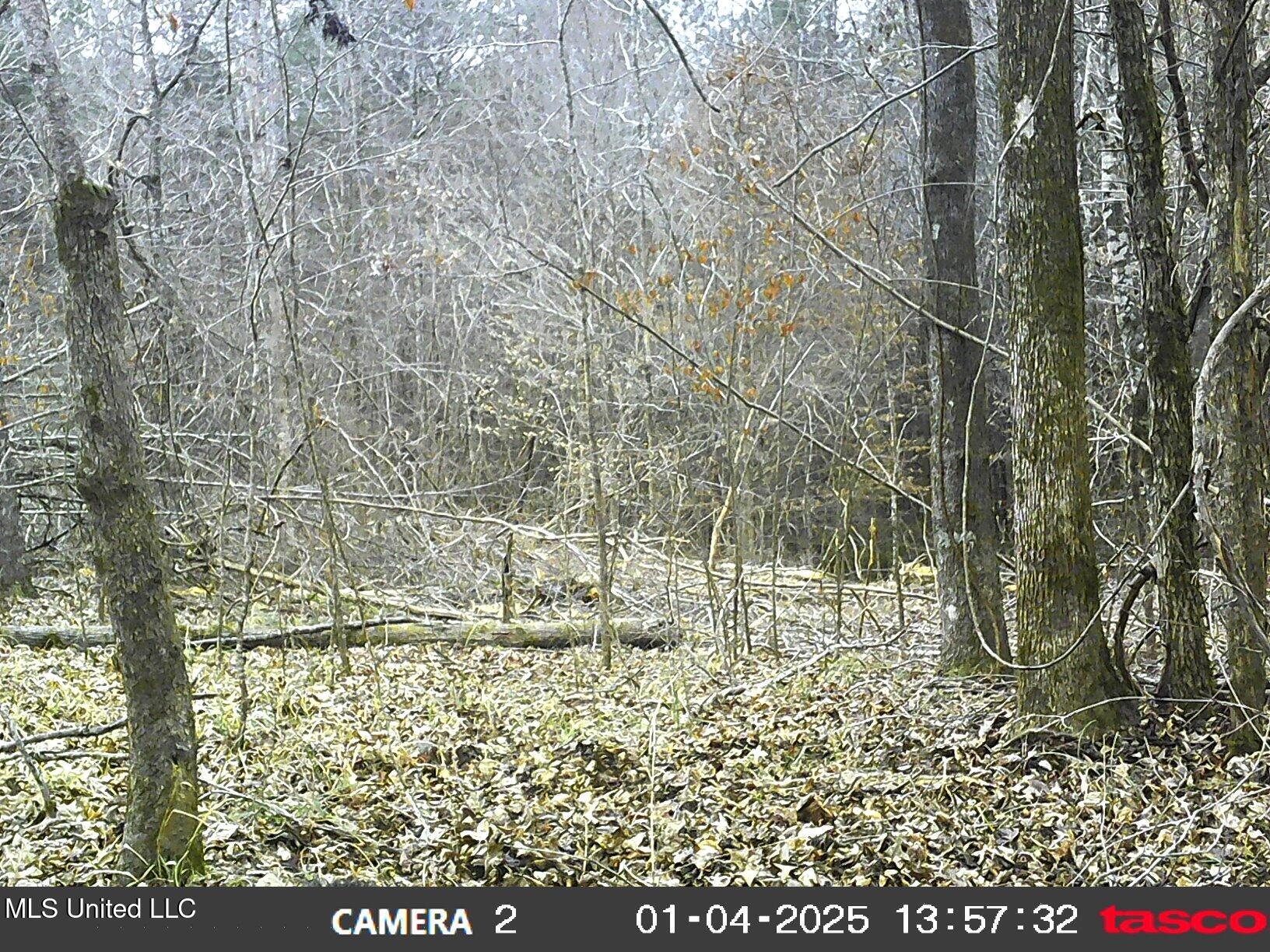 35-ac Bethel Church Road Grenada, MS 38901 - Photo 85 of 86 00000638