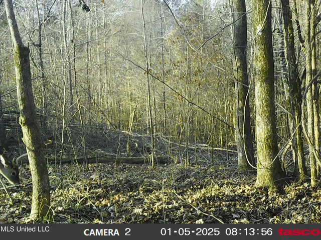 $97,500 | 35-ac Bethel Church Road, Grenada, MS 38901