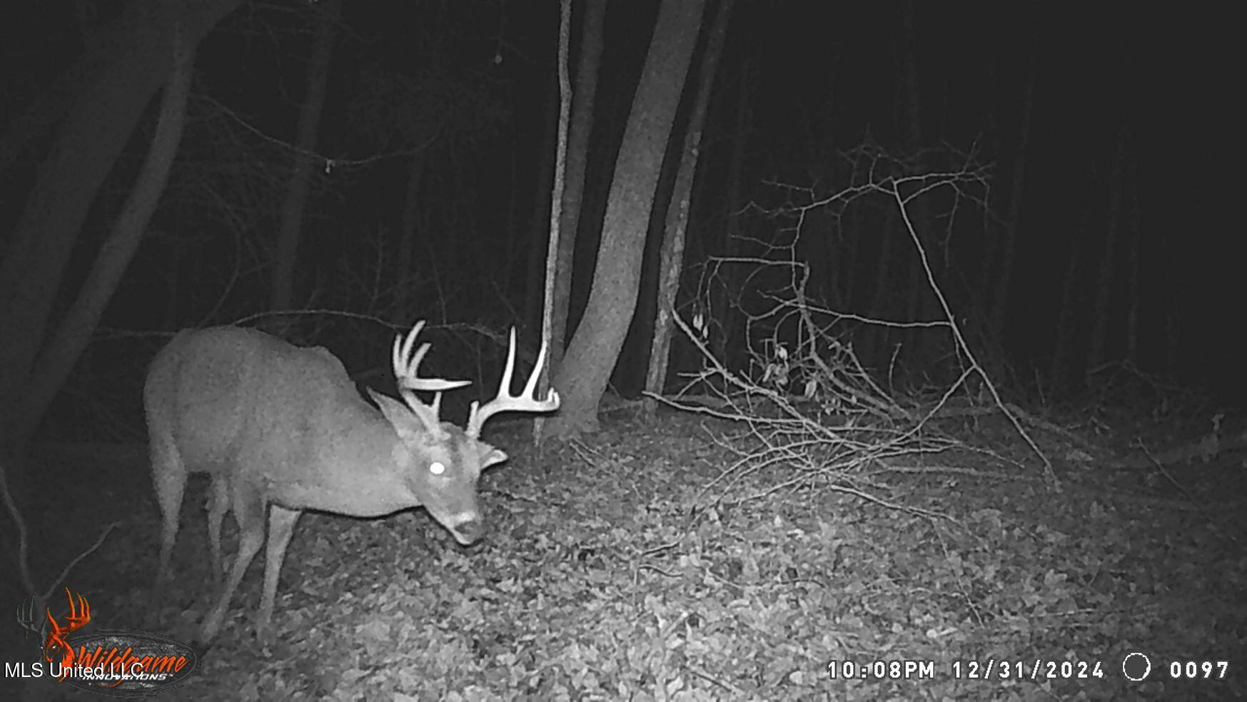 35-ac Bethel Church Road Grenada, MS 38901 - Photo 10 of 86 WGI_0097