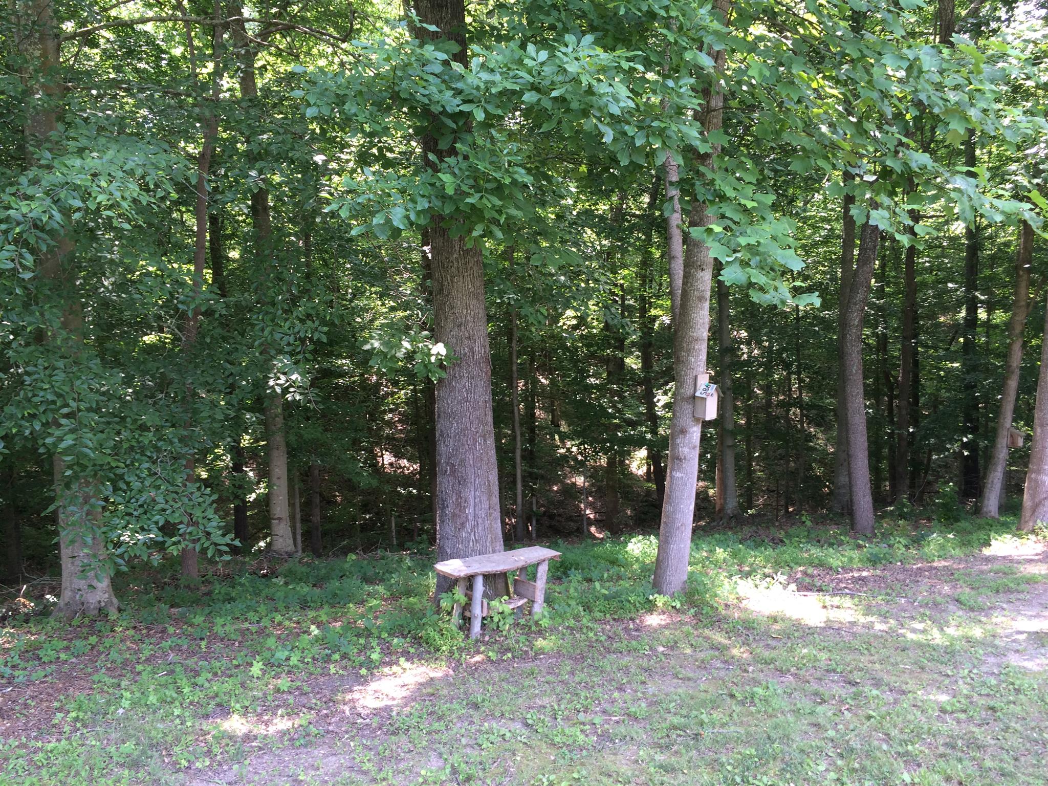 1481 Petty Road White Bluff, TN 37187 - Photo 10 of 11 Gallery Image 10