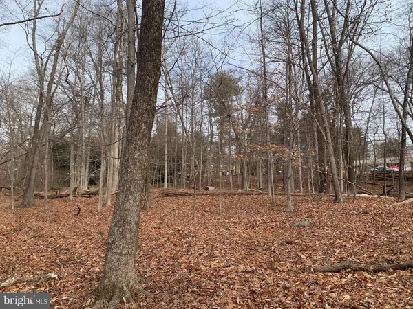 $799,900 | 4 Taylorsville Road, Washington Crossing, PA 18977
