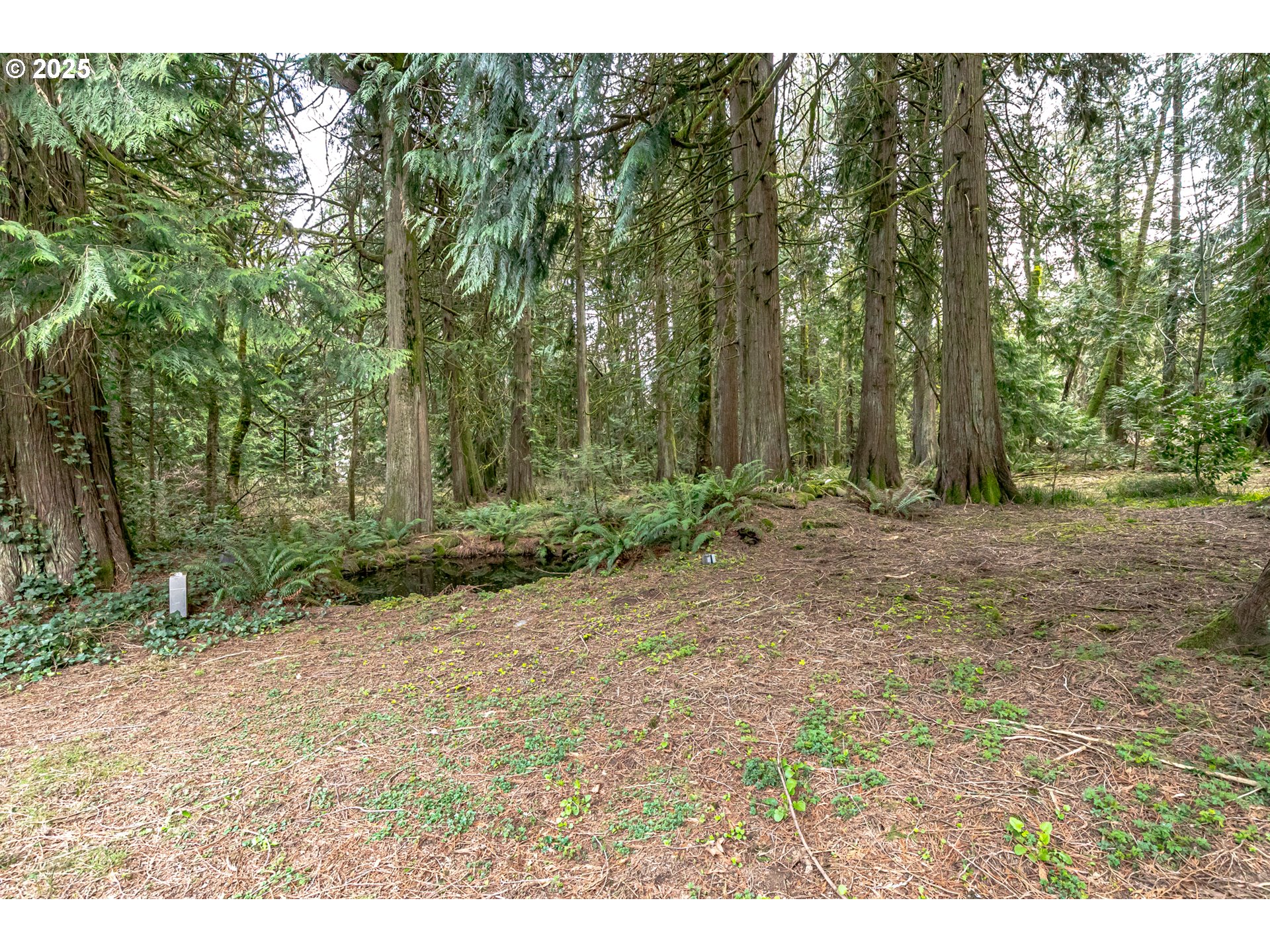 30110 Southeast Wheeler Road Boring, OR 97009 - Photo 36 of 48