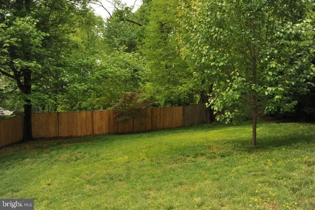 a view of a back yard