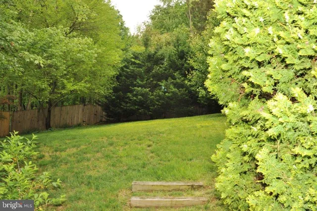 a view of yard with small space