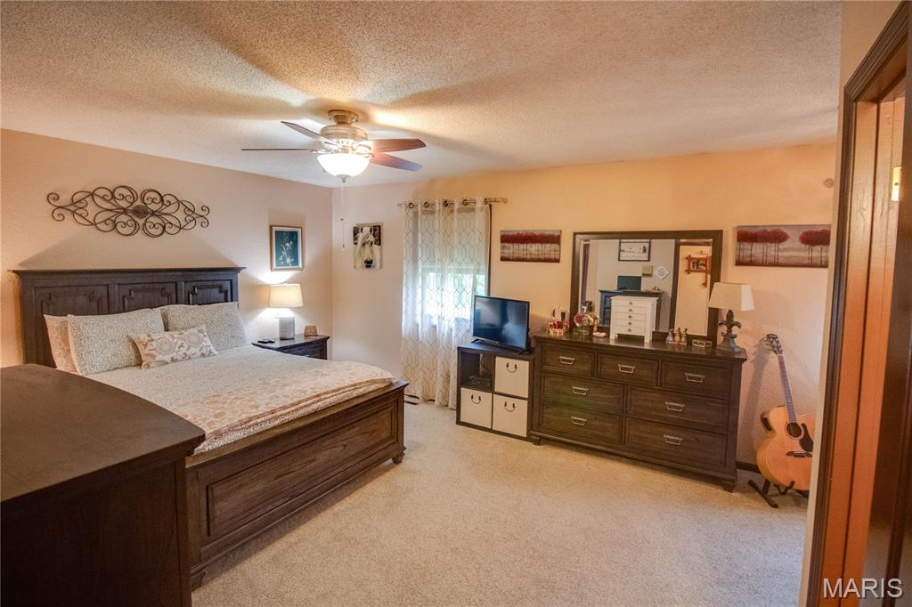 26195 Airport Road Dow, IL 62022 - Photo 32 of 89