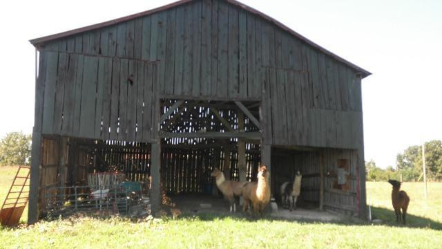 730 Bend Road Waco, KY 40385 - Photo 8 of 32 Photo 8