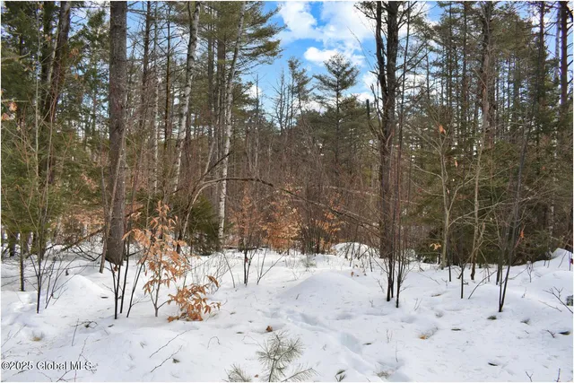 $82,500 | L97 Highview Lane, Unit LOT 13, North Creek, NY 12853