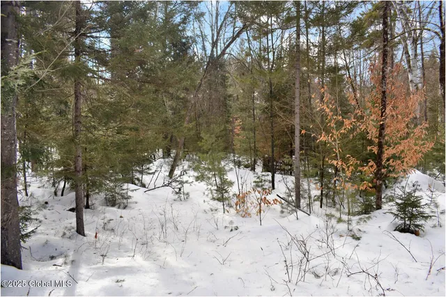 $82,500 | L97 Highview Lane, Unit LOT 13, North Creek, NY 12853