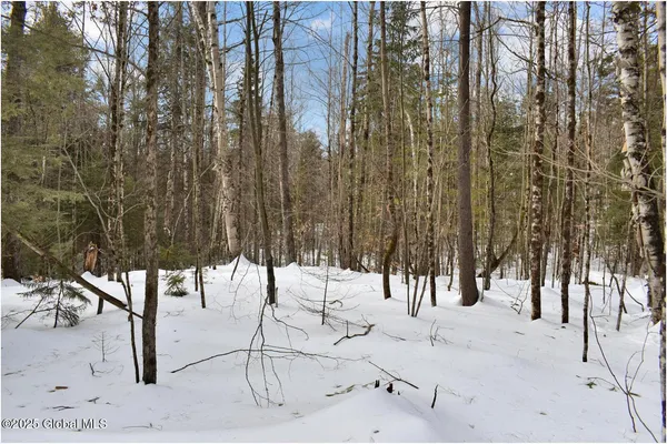 $82,500 | L97 Highview Lane, Unit LOT 13, North Creek, NY 12853