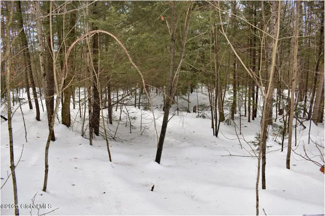 $82,500 | L97 Highview Lane, Unit LOT 13, North Creek, NY 12853