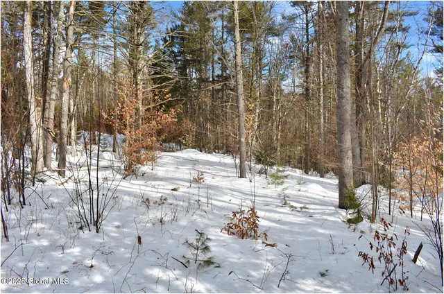 $82,500 | L97 Highview Lane, Unit LOT 13, North Creek, NY 12853