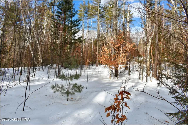 $82,500 | L97 Highview Lane, Unit LOT 13, North Creek, NY 12853