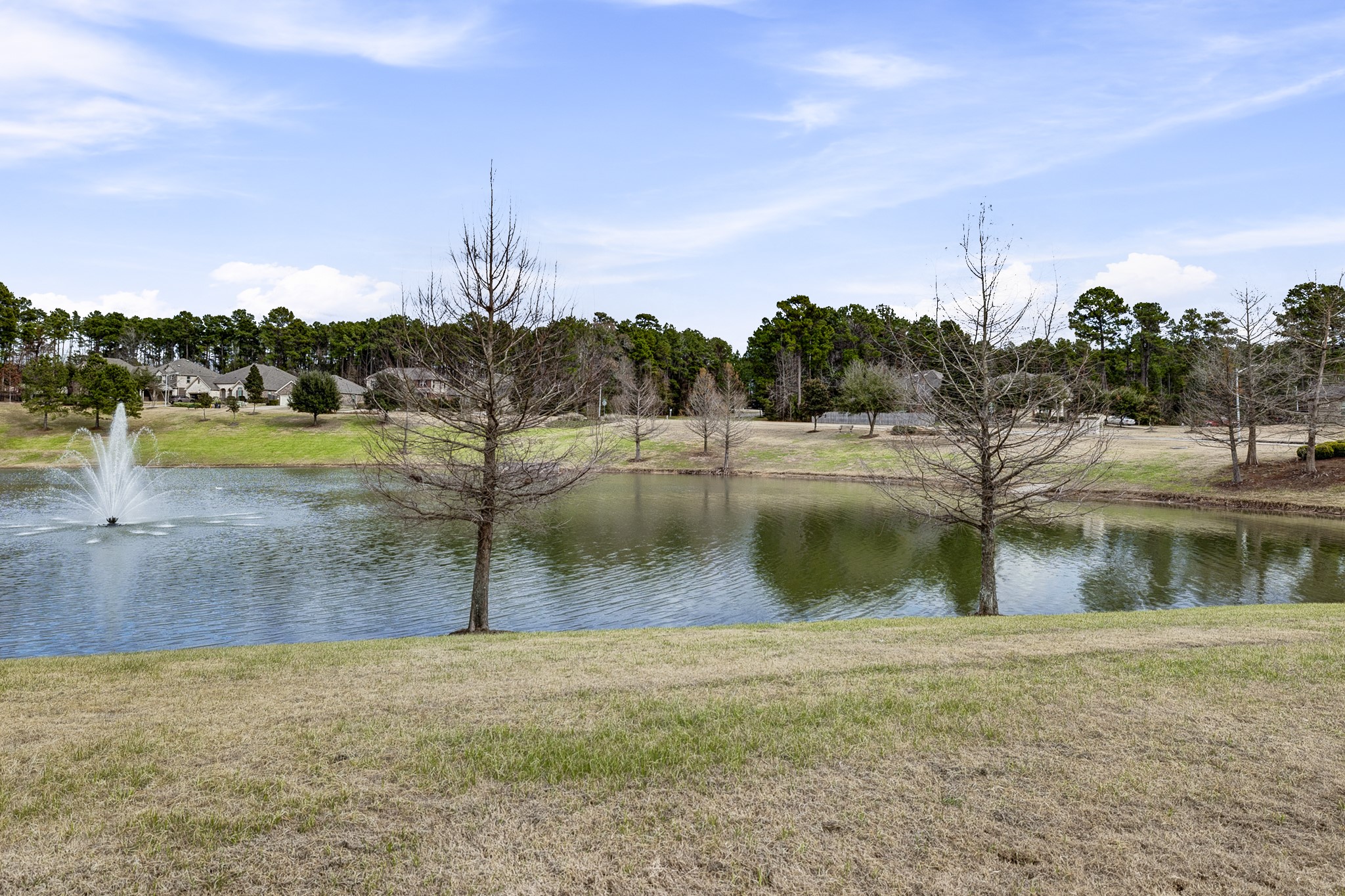 1996 Elkington Circle Conroe, TX 77304 - Photo 2 of 50