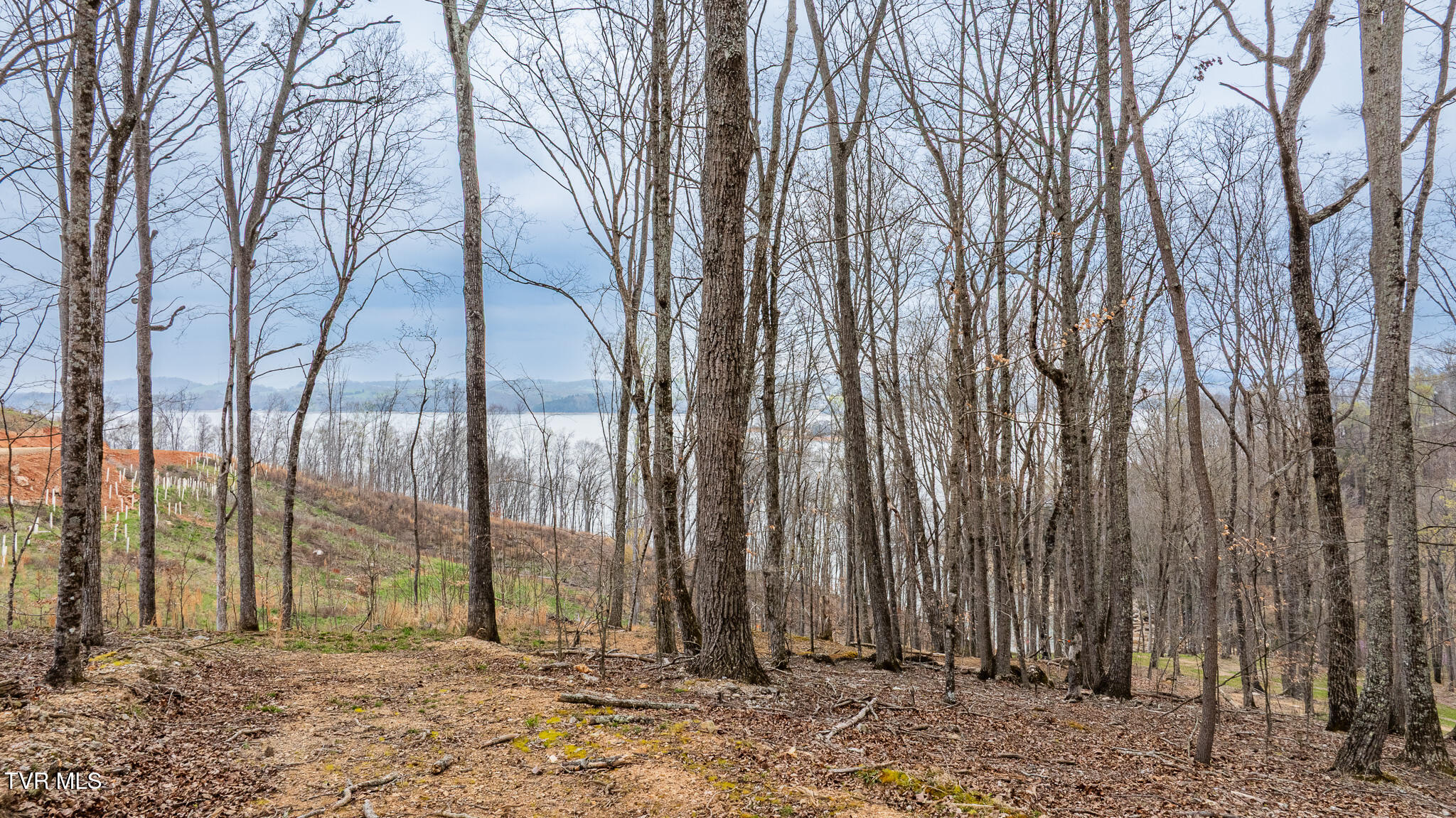 Lot 3 Lowe Drive, Unit 3 Talbott, TN 37877 - Photo 4 of 10 dji_fly_20260327_120848_0562_17746283499