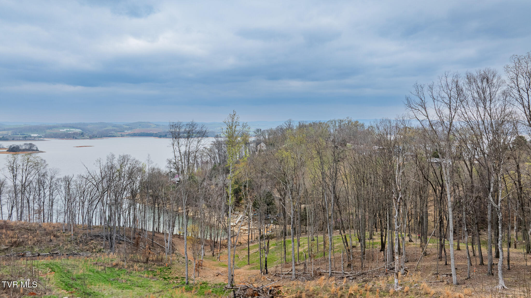Lot 3 Lowe Drive, Unit 3 Talbott, TN 37877 - Photo 5 of 10 dji_fly_20260327_121040_0565_17746283491